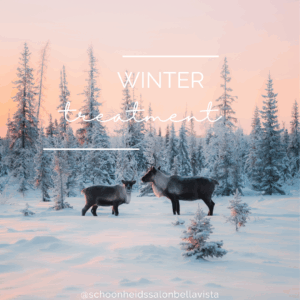 winter treatment salon bella vista de bilt